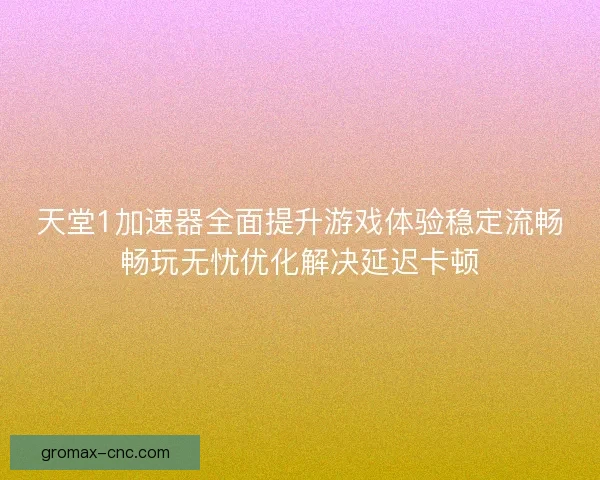 天堂1加速器全面提升游戏体验稳定流畅畅玩无忧优化解决延迟卡顿