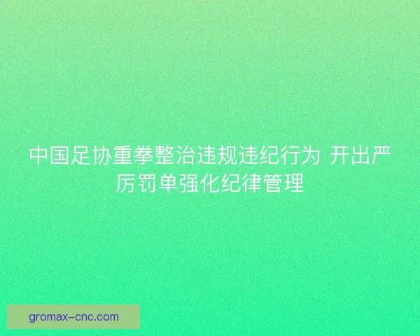 中国足协重拳整治违规违纪行为 开出严厉罚单强化纪律管理